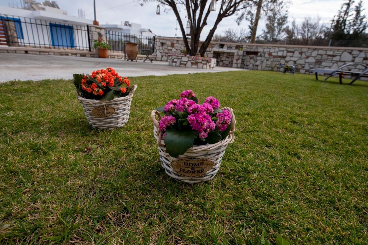 Searock Stegna Villa Archangelos  Exteriér fotografie