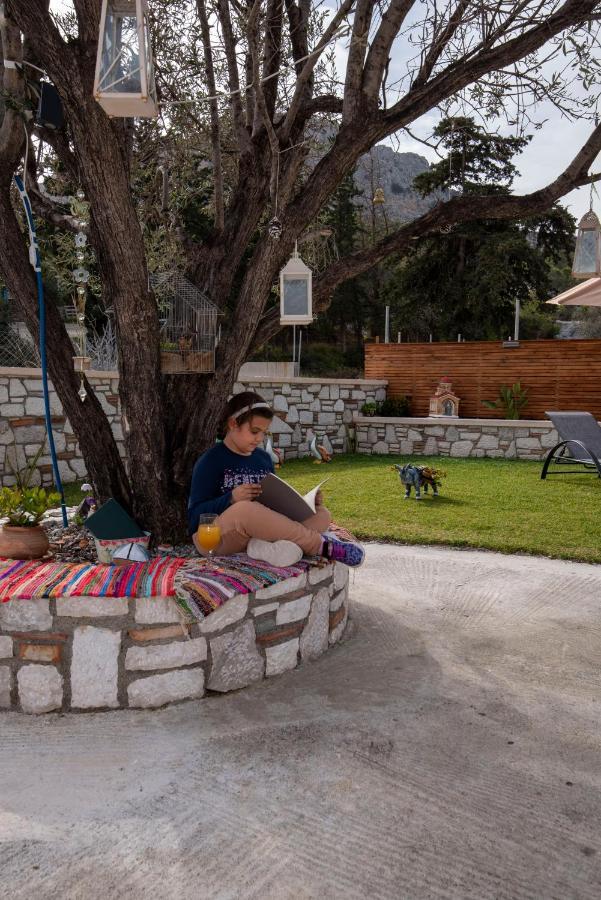 Searock Stegna Villa Archangelos  Exteriér fotografie